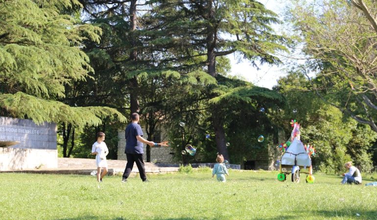 Joyful scene of children playing with bubbles in a sunny park surrounded by trees.